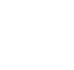 Выставки, история